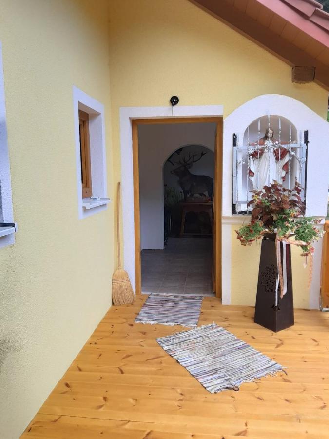 Ferienwohnung Anika Kleinlobming Екстер'єр фото